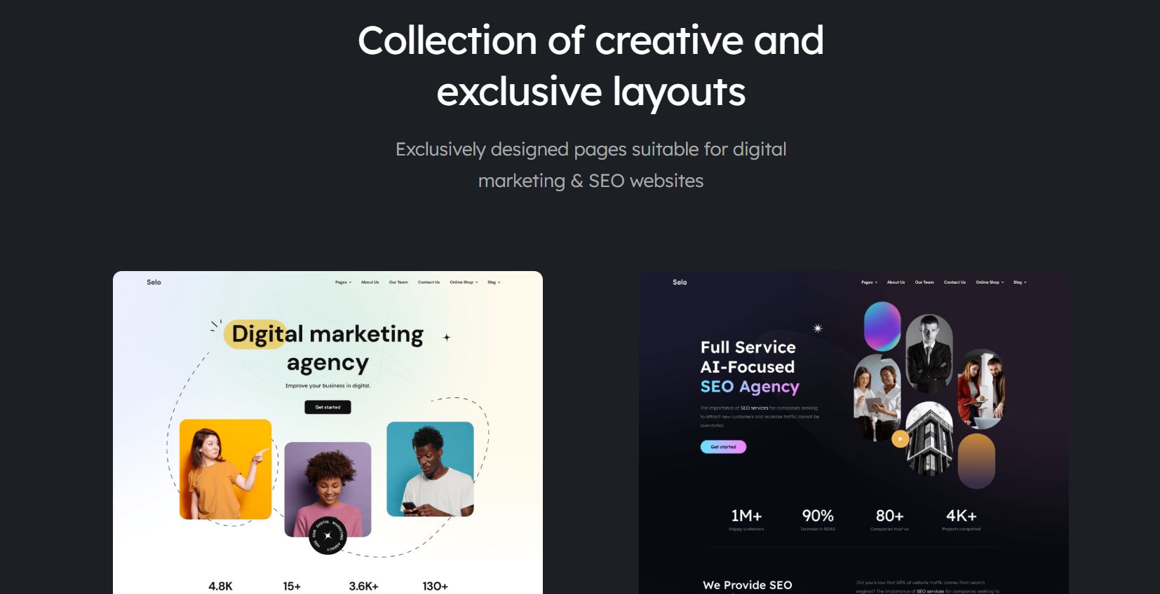 Selo - SEO & Digital Marketing Agency WordPress Theme
